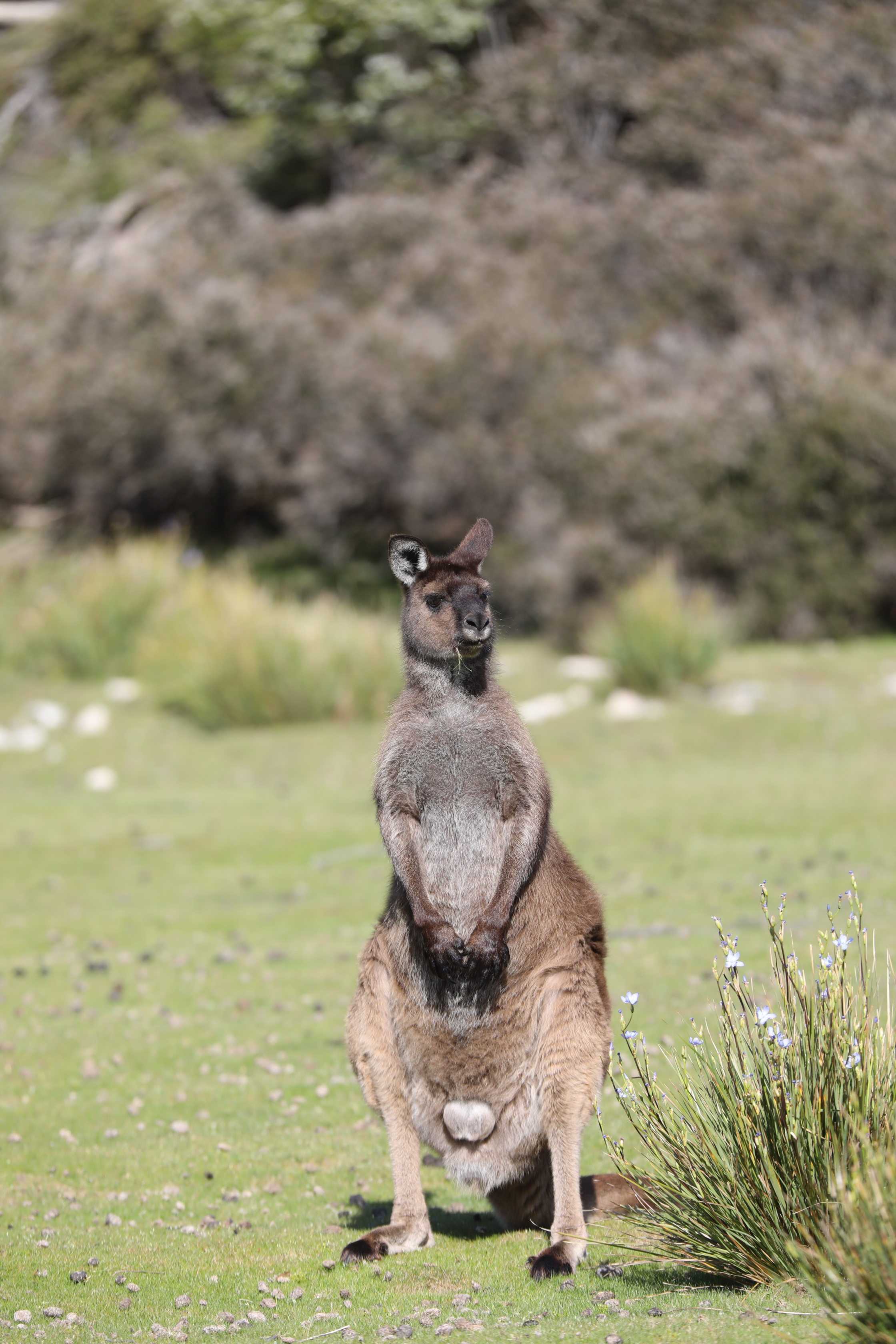 2019 09 30 15 25 30 Canon EOS 5D Mark IV 0020